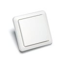 ITW-852 Funk-Serien-Wandsender 2- oder 1-fach